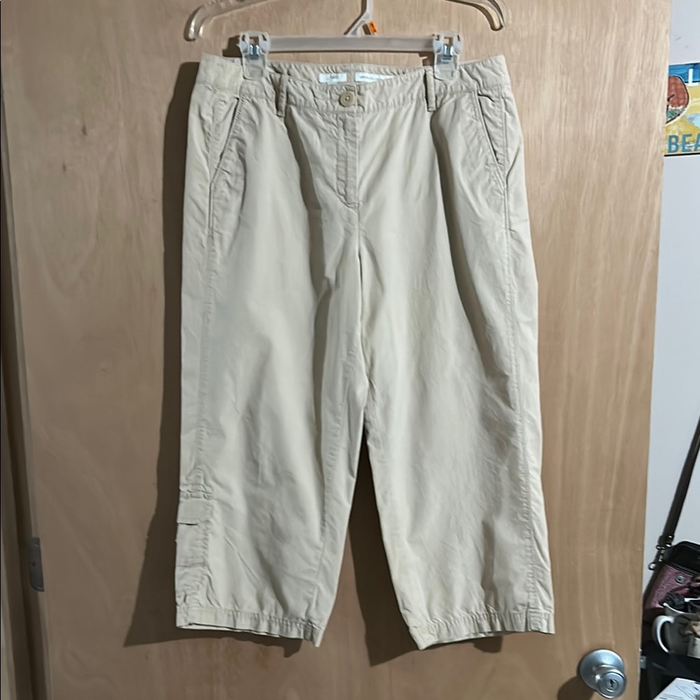 J Jill Tan Chinos Relaxed Fit Cropped Pants